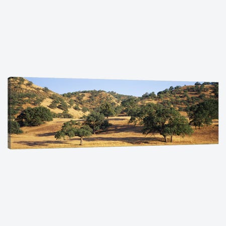 Hillside Landscape, Stanislaus County, California, USA Canvas Print #PIM6472} by Panoramic Images Art Print