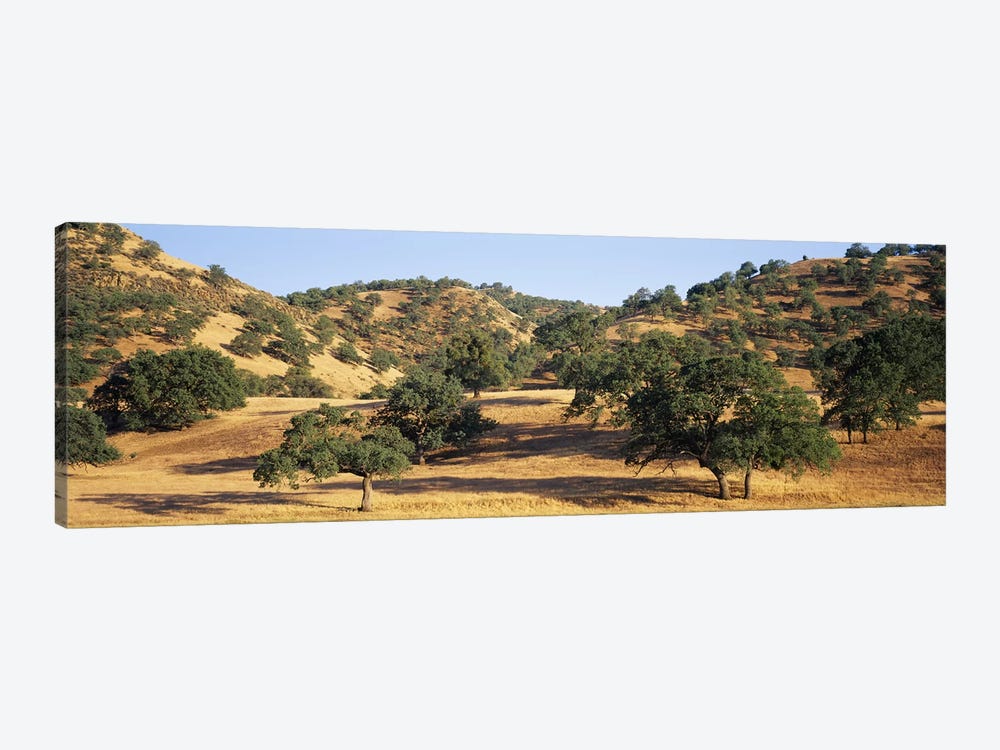 Hillside Landscape, Stanislaus County, California, USA by Panoramic Images 1-piece Canvas Artwork