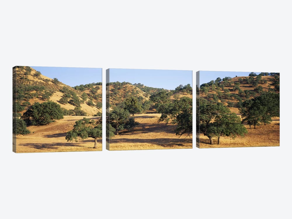 Hillside Landscape, Stanislaus County, California, USA by Panoramic Images 3-piece Canvas Art