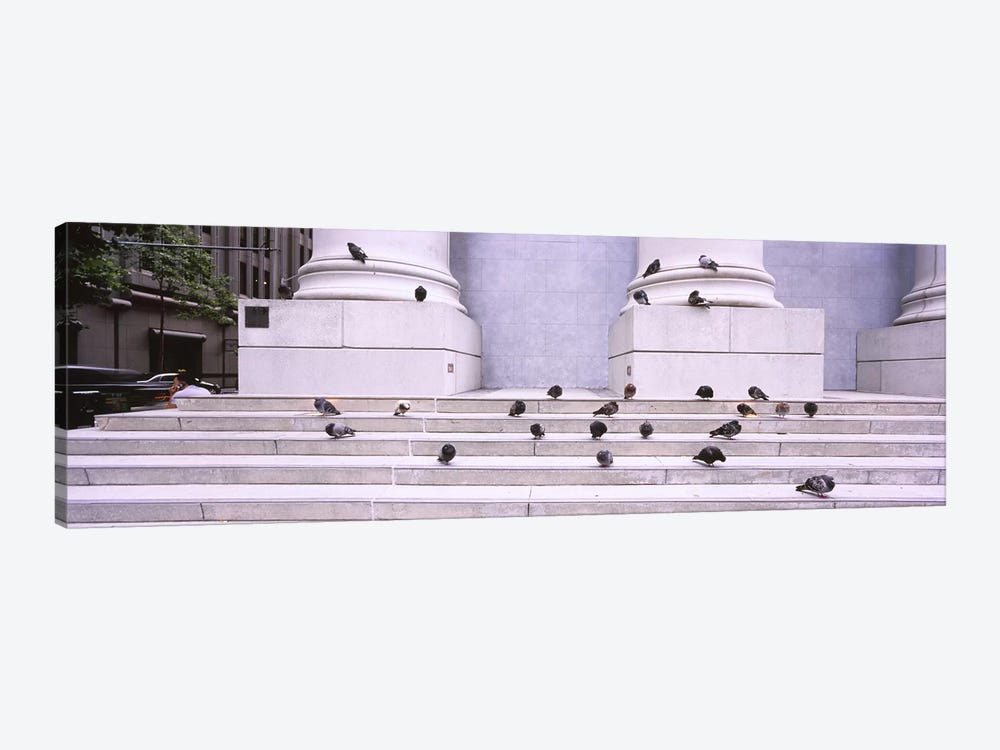 Flock of pigeons on steps, San Francisco, California, USA by Panoramic Images 1-piece Canvas Art