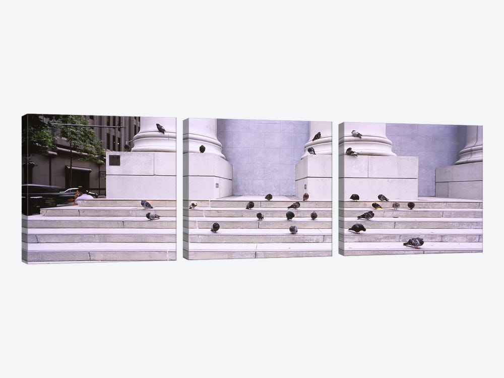 Flock of pigeons on steps, San Francisco, California, USA by Panoramic Images 3-piece Canvas Wall Art