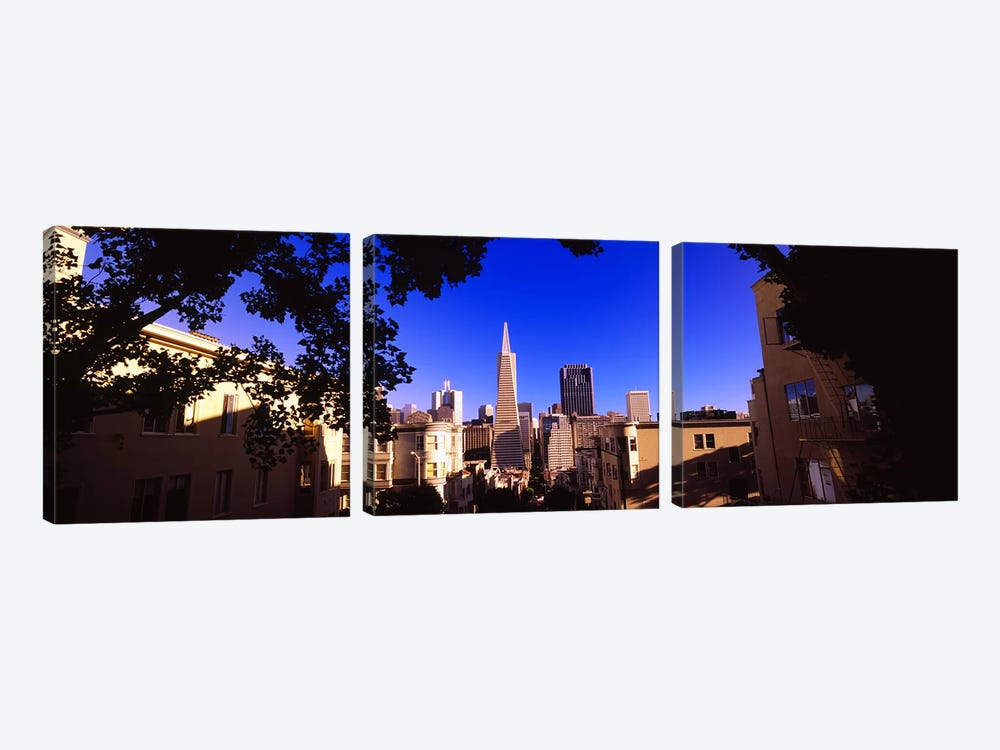Buildings in a city, Telegraph Hill, Transamerica Pyramid, San Francisco, California, USA by Panoramic Images 3-piece Canvas Print