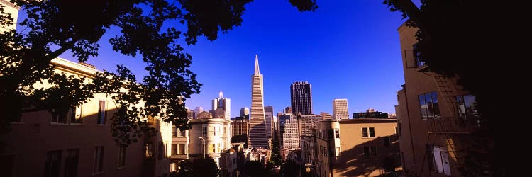 Buildings in a city, Telegraph Hill, Transamerica Pyramid, San Francisco, California, USA