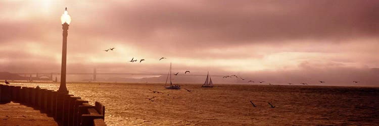 Sailboats in the sea, San Francisco Bay, Golden Gate Bridge, San Francisco, California, USA