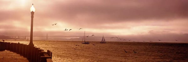 San Francisco: Sailboats in the sea, San Francisco Bay, Golden Gate Bridge, San Francisco, California, USA by Panoramic Images