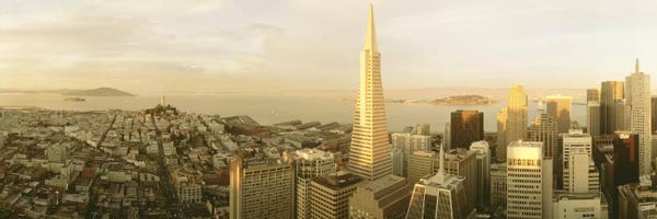 Urban: Aerial View (ft. Transamerica Pyramid), San Francisco, California, USA by Panoramic Images