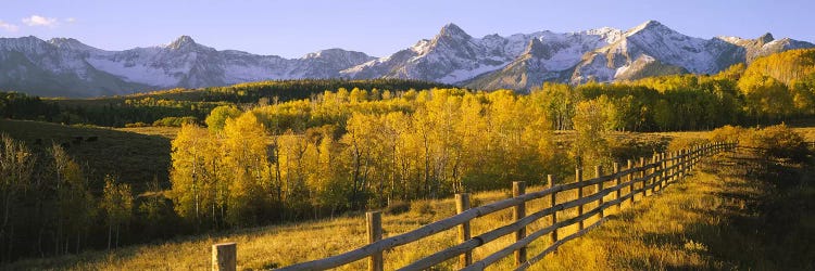 Trees in a field near a wooden fenceDallas Divide, San Juan Mountains, Colorado, USA