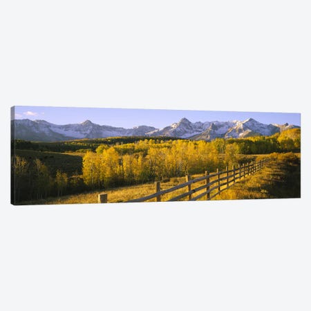 Trees in a field near a wooden fenceDallas Divide, San Juan Mountains, Colorado, USA Canvas Print #PIM6509} by Panoramic Images Canvas Art Print