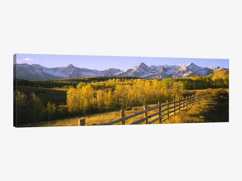 Trees in a field near a wooden fenceDallas Divide, San Juan Mountains, Colorado, USA by Panoramic Images 1-piece Canvas Art Print