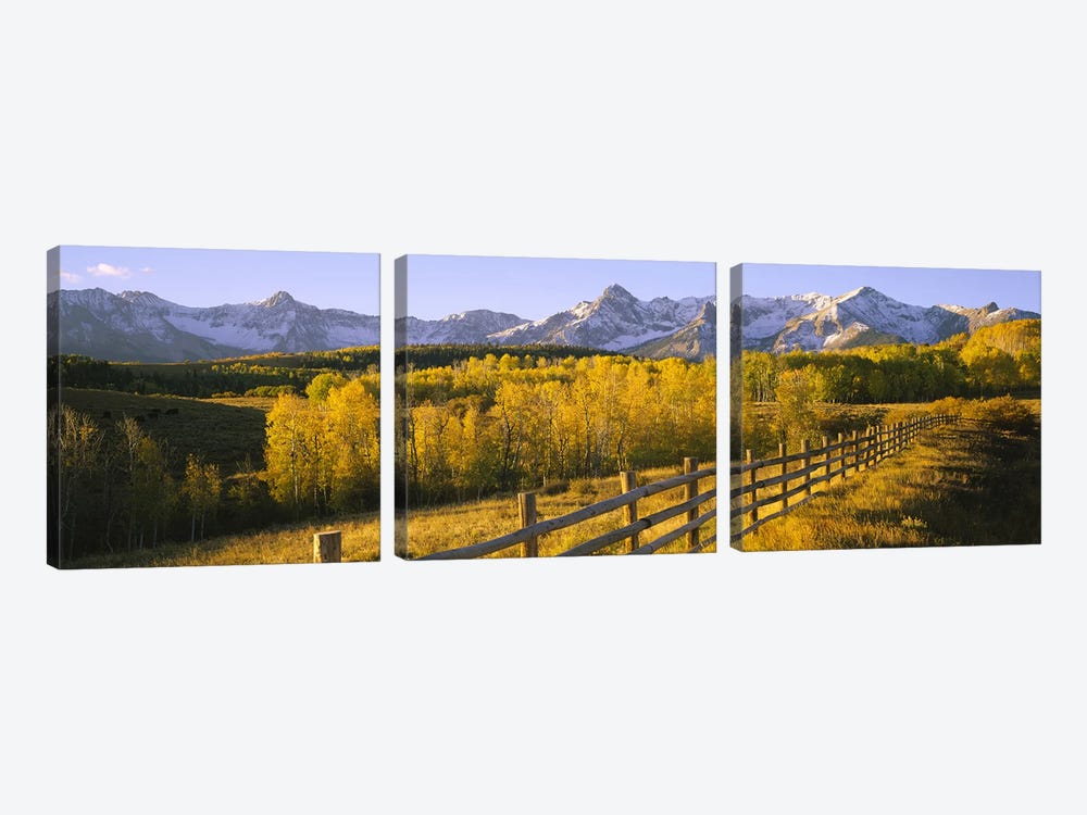 Trees in a field near a wooden fenceDallas Divide, San Juan Mountains, Colorado, USA by Panoramic Images 3-piece Canvas Art Print