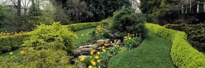 Hedge in a formal gardenLadew Topiary Gardens, Monkton, Baltimore County, Maryland, USA by Panoramic Images canvas print