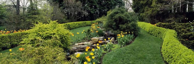 Hedge in a formal gardenLadew Topiary Gardens, Monkton, Baltimore County, Maryland, USA