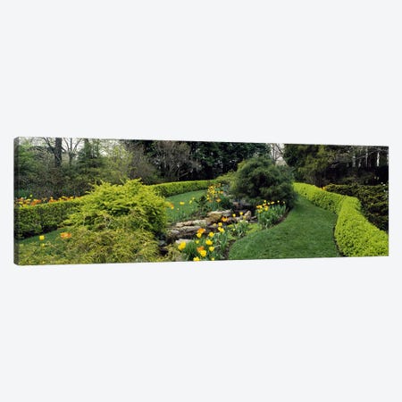 Hedge in a formal gardenLadew Topiary Gardens, Monkton, Baltimore County, Maryland, USA Canvas Print #PIM6514} by Panoramic Images Art Print