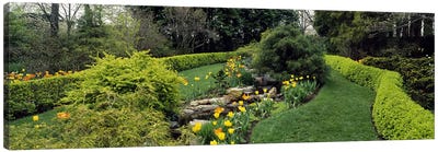 Hedge in a formal gardenLadew Topiary Gardens, Monkton, Baltimore County, Maryland, USA Canvas Art Print - Baltimore Art
