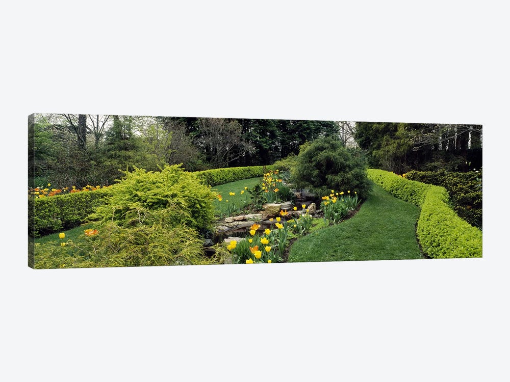 Hedge in a formal gardenLadew Topiary Gardens, Monkton, Baltimore County, Maryland, USA by Panoramic Images 1-piece Canvas Print