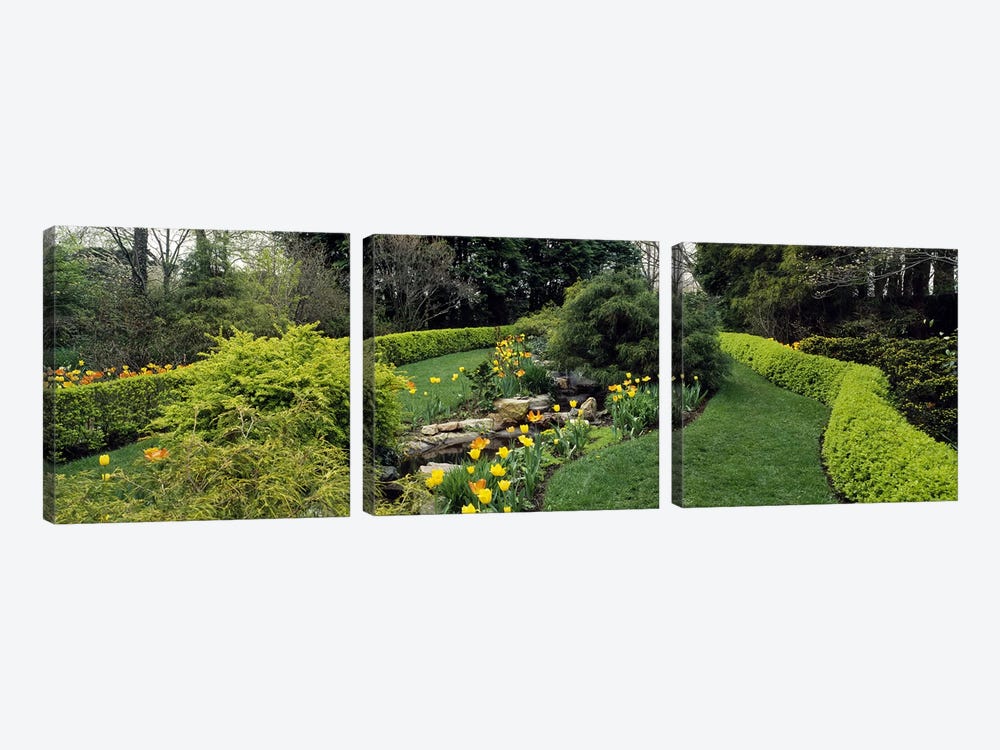 Hedge in a formal gardenLadew Topiary Gardens, Monkton, Baltimore County, Maryland, USA by Panoramic Images 3-piece Canvas Print