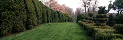 Hedge in a formal gardenLadew Topiary Gardens, Monkton, Baltimore County, Maryland, USA by Panoramic Images canvas print