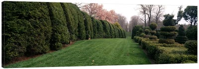 Hedge in a formal gardenLadew Topiary Gardens, Monkton, Baltimore County, Maryland, USA Canvas Art Print - Baltimore Art