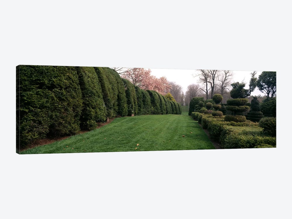 Hedge in a formal gardenLadew Topiary Gardens, Monkton, Baltimore County, Maryland, USA by Panoramic Images 1-piece Canvas Wall Art
