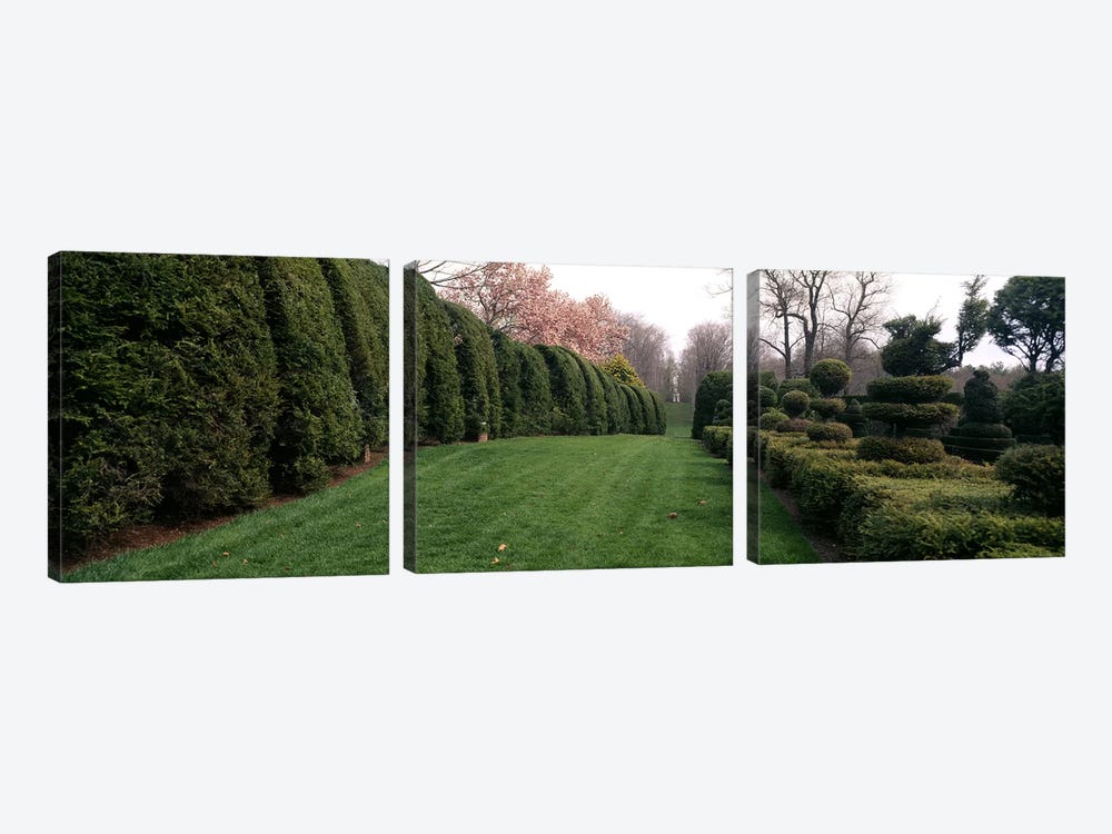 Hedge in a formal gardenLadew Topiary Gardens, Monkton, Baltimore County, Maryland, USA by Panoramic Images 3-piece Canvas Artwork