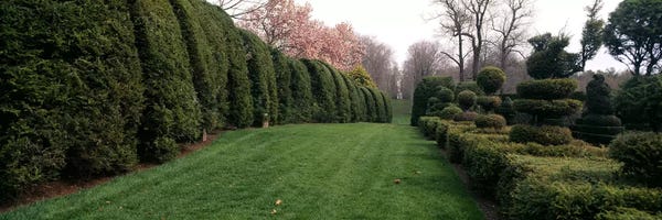 Maryland: Hedge in a formal gardenLadew Topiary Gardens, Monkton, Baltimore County, Maryland, USA by Panoramic Images