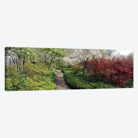 Trees in a gardenGarden of Eden, Ladew Topiary Gardens, Monkton, Baltimore County, Maryland, USA Canvas Print #PIM6516} by Panoramic Images Canvas Art Print
