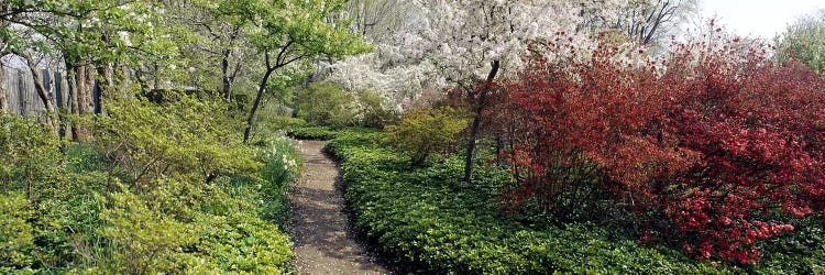 Trees in a gardenGarden of Eden, Ladew Topiary Gardens, Monkton, Baltimore County, Maryland, USA