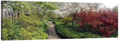 Trees in a gardenGarden of Eden, Ladew Topiary Gardens, Monkton, Baltimore County, Maryland, USA Canvas Art Print - Maryland Art