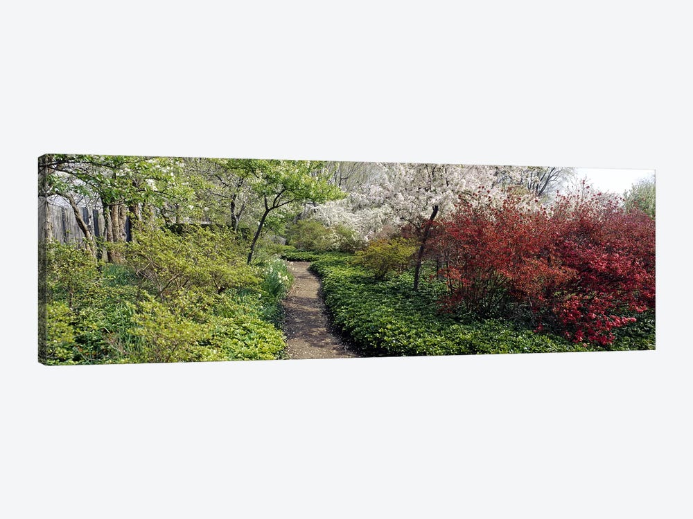 Trees in a gardenGarden of Eden, Ladew Topiary Gardens, Monkton, Baltimore County, Maryland, USA by Panoramic Images 1-piece Canvas Art Print