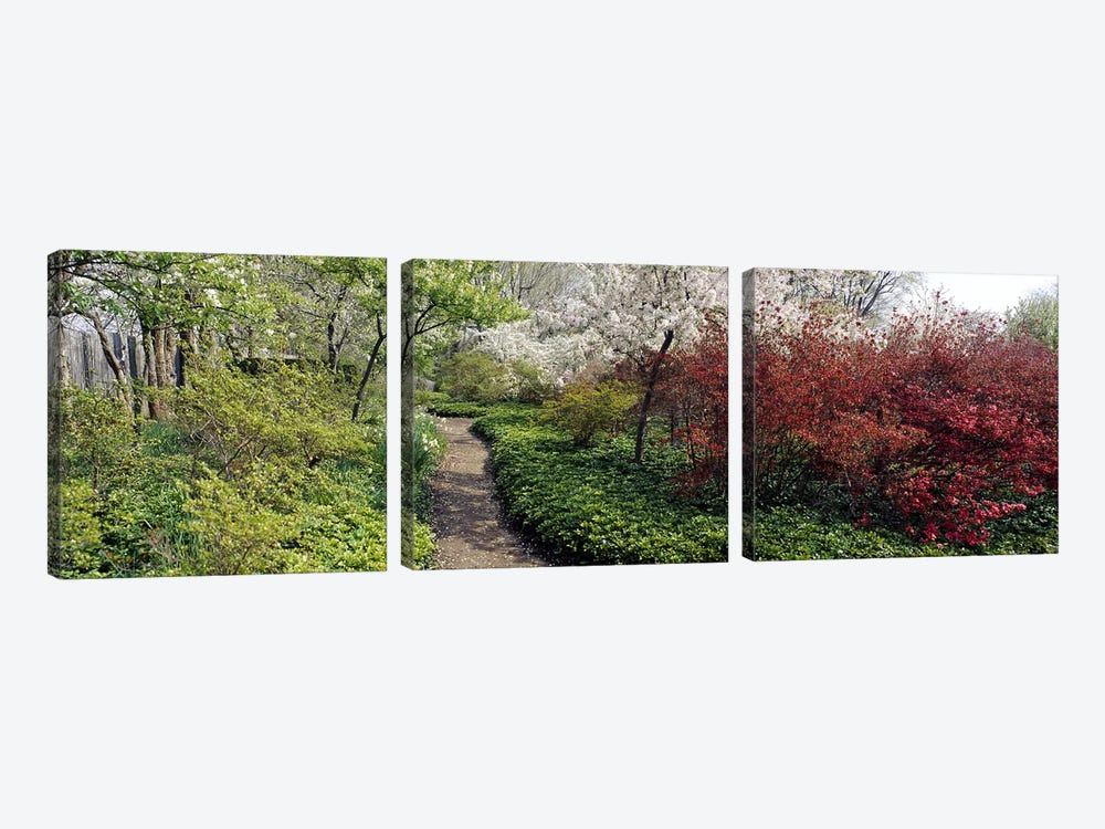 Trees in a gardenGarden of Eden, Ladew Topiary Gardens, Monkton, Baltimore County, Maryland, USA by Panoramic Images 3-piece Art Print