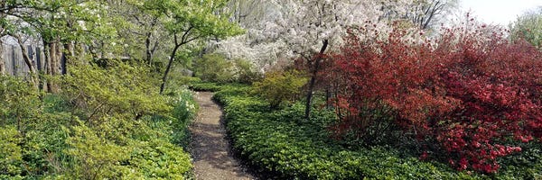 Trees in a gardenGarden of Eden, Ladew Topiary Gardens, Monkton, Baltimore County, Maryland, USA