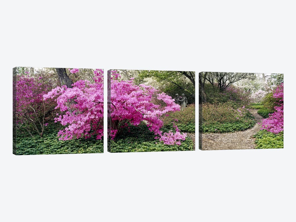 Azalea flowers in a gardenGarden of Eden, Ladew Topiary Gardens, Monkton, Baltimore County, Maryland, USA by Panoramic Images 3-piece Canvas Wall Art