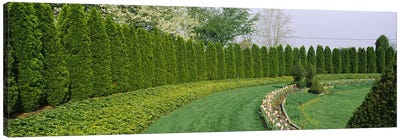 Row of arbor vitae trees in a gardenLadew Topiary Gardens, Monkton, Baltimore County, Maryland, USA Canvas Art Print - Evergreen Tree Art
