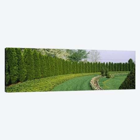 Row of arbor vitae trees in a gardenLadew Topiary Gardens, Monkton, Baltimore County, Maryland, USA Canvas Print #PIM6538} by Panoramic Images Canvas Art