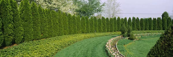 Maryland: Row of arbor vitae trees in a gardenLadew Topiary Gardens, Monkton, Baltimore County, Maryland, USA by Panoramic Images