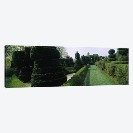Sculptures formed from trees and plants in a garden, Ladew Topiary Gardens, Monkton, Baltimore County, Maryland, USA Canvas Print #PIM6539} by Panoramic Images Canvas Artwork