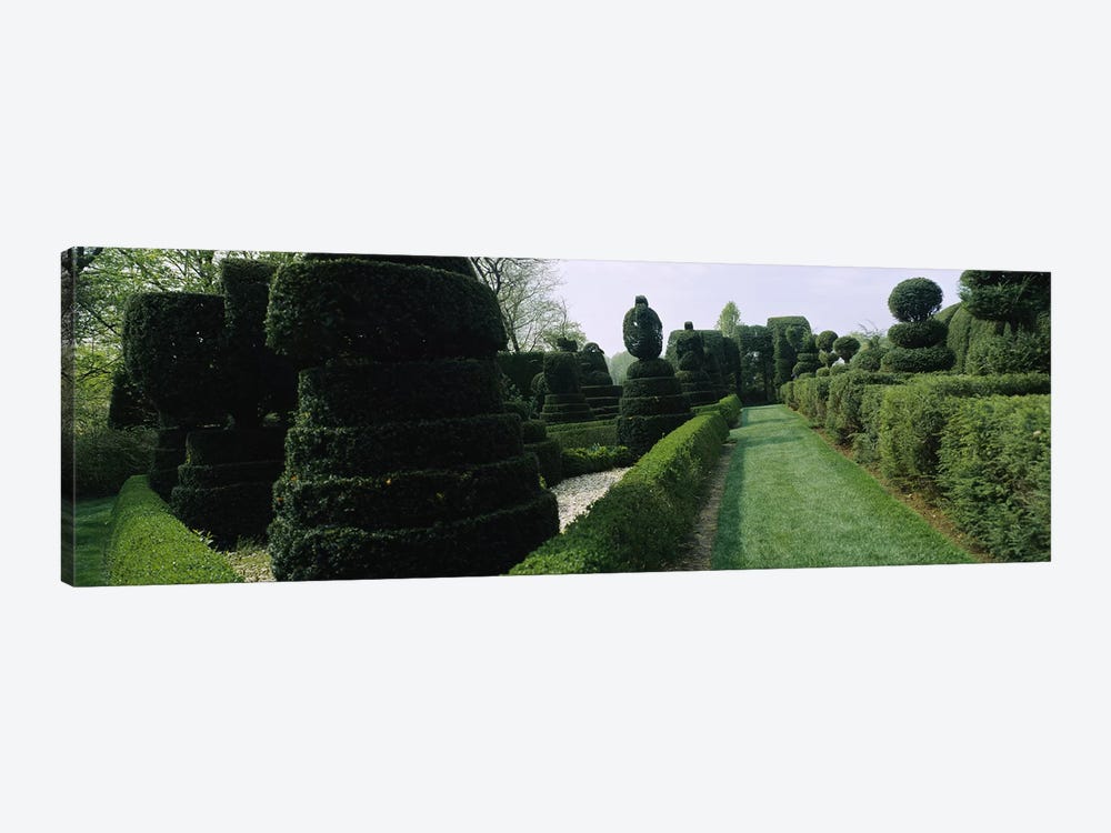 Sculptures formed from trees and plants in a garden, Ladew Topiary Gardens, Monkton, Baltimore County, Maryland, USA by Panoramic Images 1-piece Canvas Wall Art