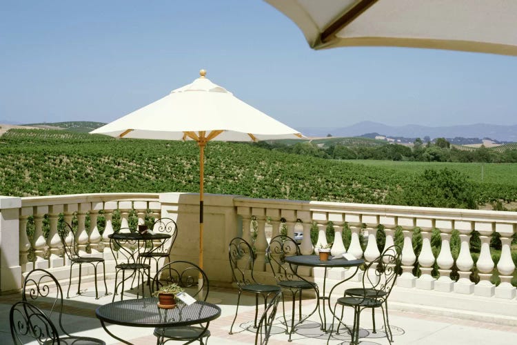 Vineyards Terrace at Winery Napa Valley CA USA