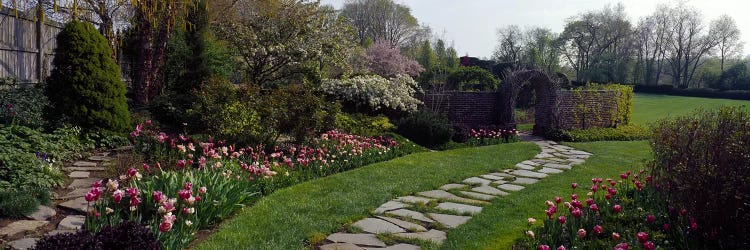 Flowers in a garden, Ladew Topiary Gardens, Monkton, Baltimore County, Maryland, USA