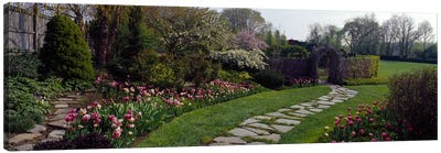 Flowers in a garden, Ladew Topiary Gardens, Monkton, Baltimore County, Maryland, USA Canvas Art Print - Baltimore Art