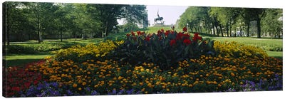 Flowers in a park, Grant Park, Chicago, Cook County, Illinois, USA Canvas Art Print - Garden & Floral Landscape Art