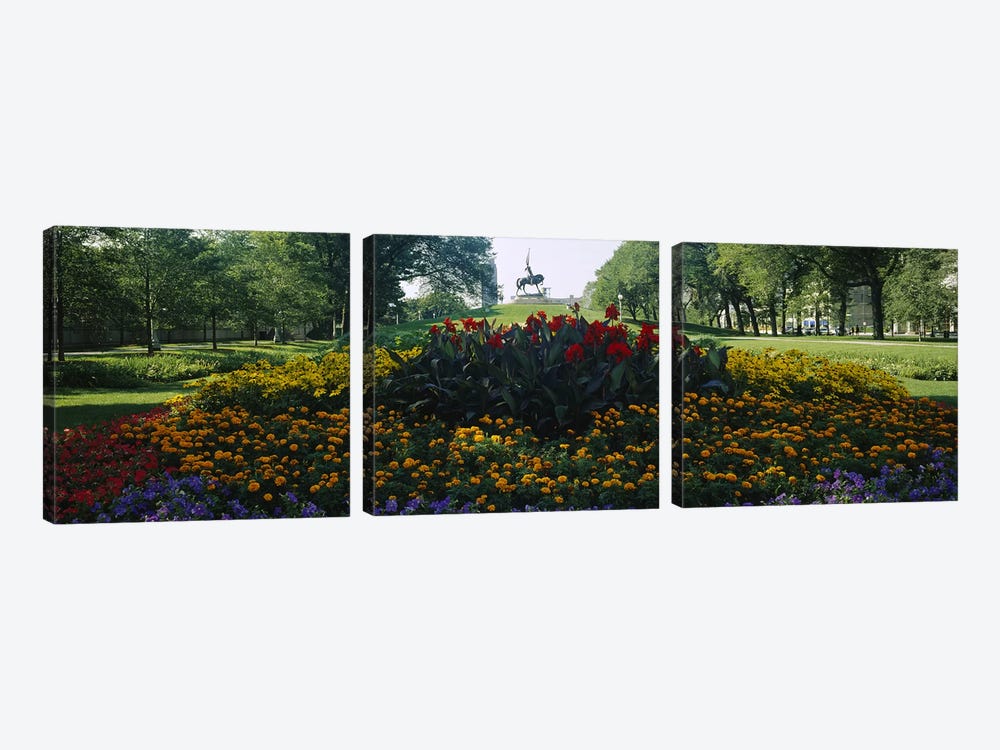 Flowers in a park, Grant Park, Chicago, Cook County, Illinois, USA by Panoramic Images 3-piece Canvas Art Print
