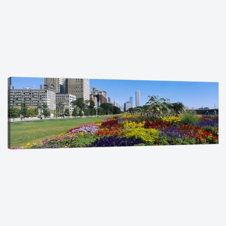 Flowers in a garden, Welcome Garden, Grant Park, Michigan Avenue, Roosevelt Road, Chicago, Cook County, Illinois, USA Canvas Print #PIM6546} by Panoramic Images Canvas Art