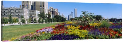 Flowers in a garden, Welcome Garden, Grant Park, Michigan Avenue, Roosevelt Road, Chicago, Cook County, Illinois, USA Canvas Art Print - Garden & Floral Landscape Art