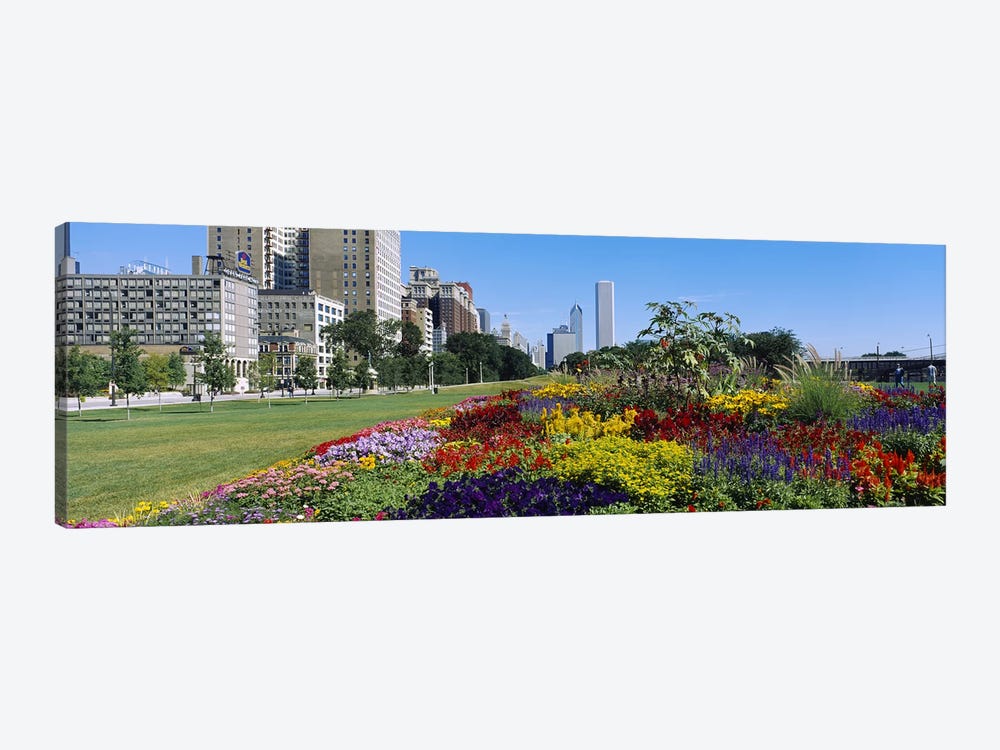 Flowers in a garden, Welcome Garden, Grant Park, Michigan Avenue, Roosevelt Road, Chicago, Cook County, Illinois, USA by Panoramic Images 1-piece Canvas Artwork