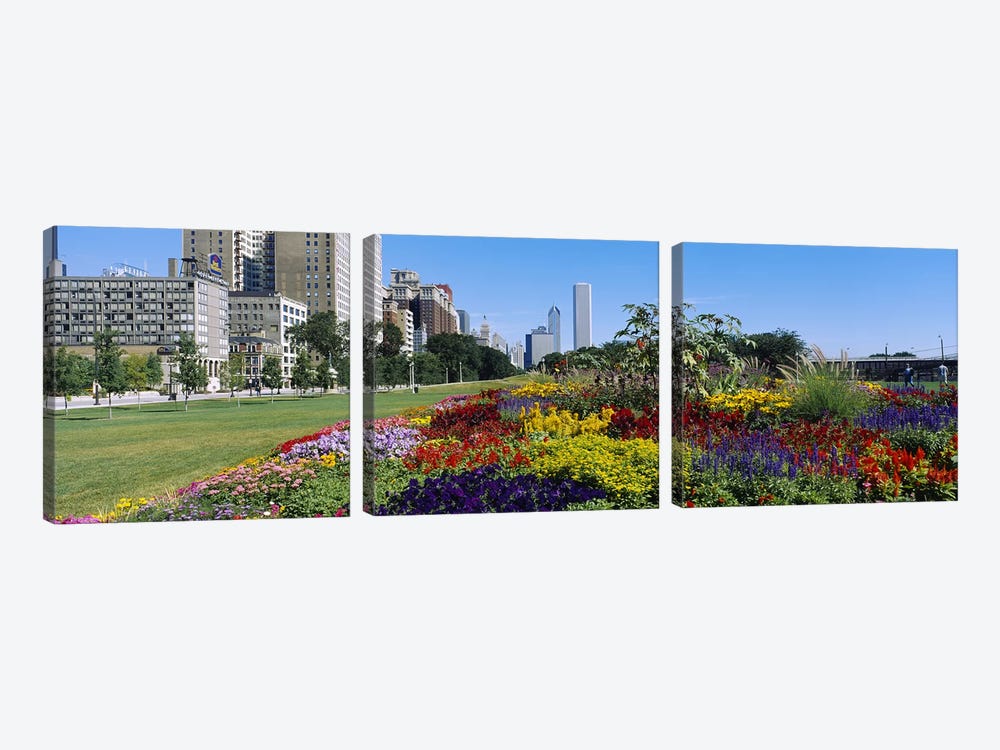 Flowers in a garden, Welcome Garden, Grant Park, Michigan Avenue, Roosevelt Road, Chicago, Cook County, Illinois, USA by Panoramic Images 3-piece Canvas Wall Art
