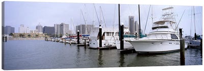 Yachts at a harbor with buildings in the background, Corpus Christi, Texas, USA Canvas Art Print