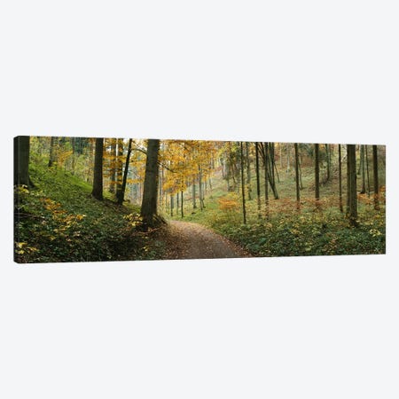 Road Through An Autumnal Forest Landscape, Baden-Wurttemberg, Germany Canvas Print #PIM6566} by Panoramic Images Canvas Wall Art