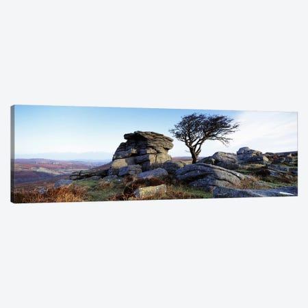 Bare tree near rocks, Haytor Rocks, Dartmoor, Devon, England Canvas Print #PIM6588} by Panoramic Images Canvas Art Print