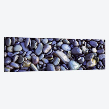 Close-up of pebbles, Sandymouth Beach, Cornwall, England Canvas Print #PIM6600} by Panoramic Images Canvas Wall Art